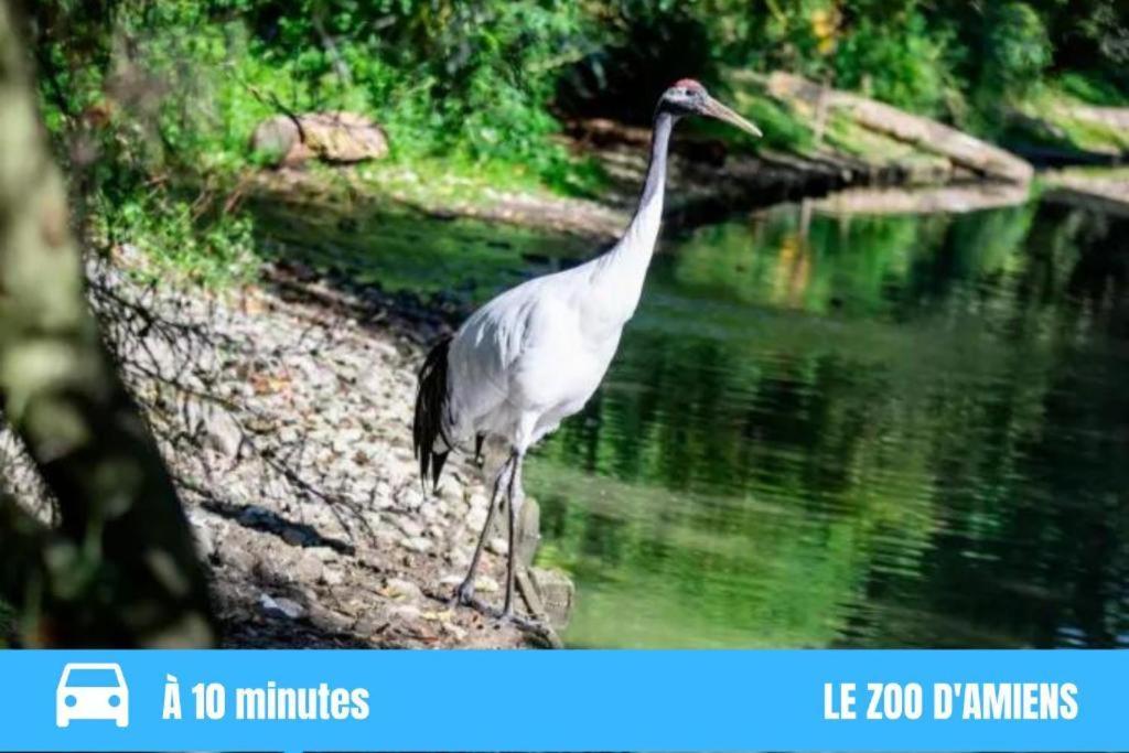 Grand Studio Amiens Gare Tout Confort Wifi Netflix 2Pers Bagian luar foto